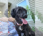 Small #3 Breeder Profile image