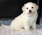 Image preview for Ad Listing. Nickname: Misty