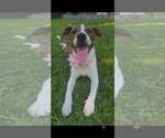 Small #3 Breeder Profile image