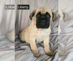 Image preview for Ad Listing. Nickname: Liberty