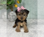 Image preview for Ad Listing. Nickname: Tessa