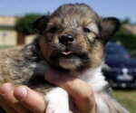 Image preview for Ad Listing. Nickname: BeKer 2026
