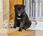 Small #2 Breeder Profile image