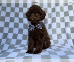 Image preview for Ad Listing. Nickname: Captain