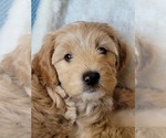 Image preview for Ad Listing. Nickname: Neptune