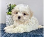 Image preview for Ad Listing. Nickname: Murphy