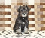 Image preview for Ad Listing. Nickname: Echo