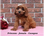 Image preview for Ad Listing. Nickname: Princess