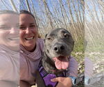 Small #45 Blue Lacy Mix