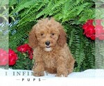 Image preview for Ad Listing. Nickname: Tessa