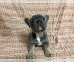 Image preview for Ad Listing. Nickname: Thor