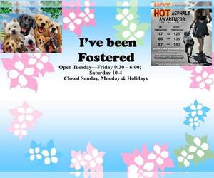 Mutt Dogs for adoption in Moreno Valley, CA, USA
