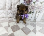 Image preview for Ad Listing. Nickname: CoCo
