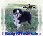 Image preview for Ad Listing. Nickname: Mokara
