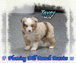 Image preview for Ad Listing. Nickname: Tavey