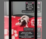 Image preview for Ad Listing. Nickname: Summer