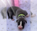 Image preview for Ad Listing. Nickname: Lime green