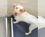 Small #2 Breeder Profile image