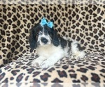 Image preview for Ad Listing. Nickname: Reba