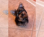 Image preview for Ad Listing. Nickname: Armani