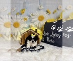 Image preview for Ad Listing. Nickname: Darla