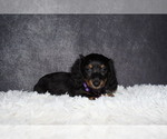 Image preview for Ad Listing. Nickname: Waffles