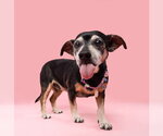 Small #2 Breeder Profile image