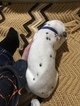 Small Photo #3 Dalmatian Puppy For Sale in LINCOLN, NE, USA