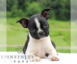 Image preview for Ad Listing. Nickname: Willow