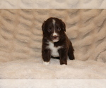 Image preview for Ad Listing. Nickname: Hazel