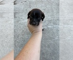  - Photo #2
