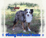 Image preview for Ad Listing. Nickname: Pardon