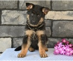 Image preview for Ad Listing. Nickname: Beauty