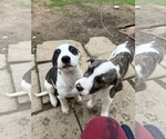 Small #3 Breeder Profile image