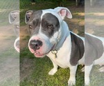 Small #3 Breeder Profile image