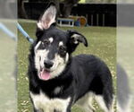 Small #3 Breeder Profile image
