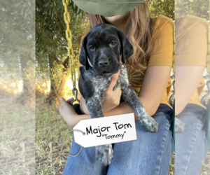 Medium Pointer