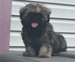 Image preview for Ad Listing. Nickname: Brook