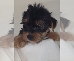 Image preview for Ad Listing. Nickname: Damian