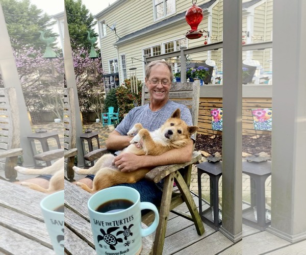 Medium Photo #6 Norwich Terrier-Unknown Mix Puppy For Sale in Arlington, VA, USA