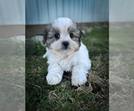 Image preview for Ad Listing. Nickname: Reed
