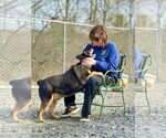 Small #4 Mutt
