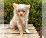 Image preview for Ad Listing. Nickname: Wells