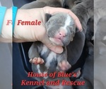 Image preview for Ad Listing. Nickname: Red Female