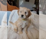 Image preview for Ad Listing. Nickname: Mars