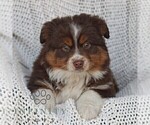 Image preview for Ad Listing. Nickname: Comet