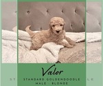 Image preview for Ad Listing. Nickname: Valor