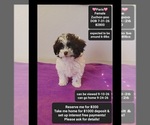 Image preview for Ad Listing. Nickname: Paris