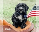 Image preview for Ad Listing. Nickname: Ranger