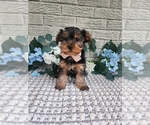Image preview for Ad Listing. Nickname: Theo
